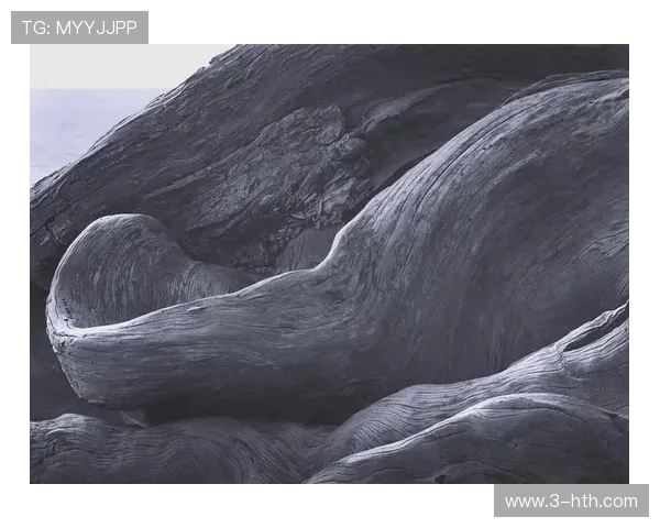 亚当斯的传奇人生与影响力探秘:从个人成就到全球视野的深度分析 亚当斯的传奇人生与影响力探秘:从个人成就到全球视野的深度分析